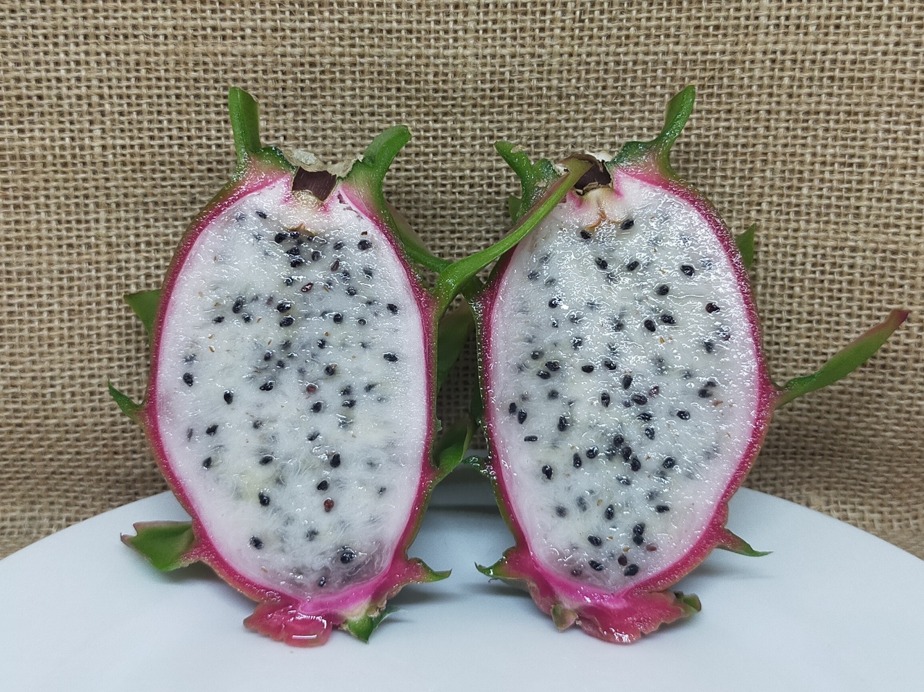 Connie Mayer dragon fruit picture